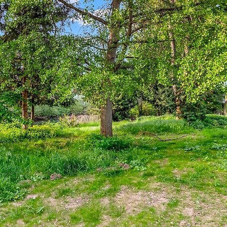 Altstadt Apartment Am Wasser Mit Parkplatz Und Riesigem Garten Bad Kreuznach Eksteriør bilde