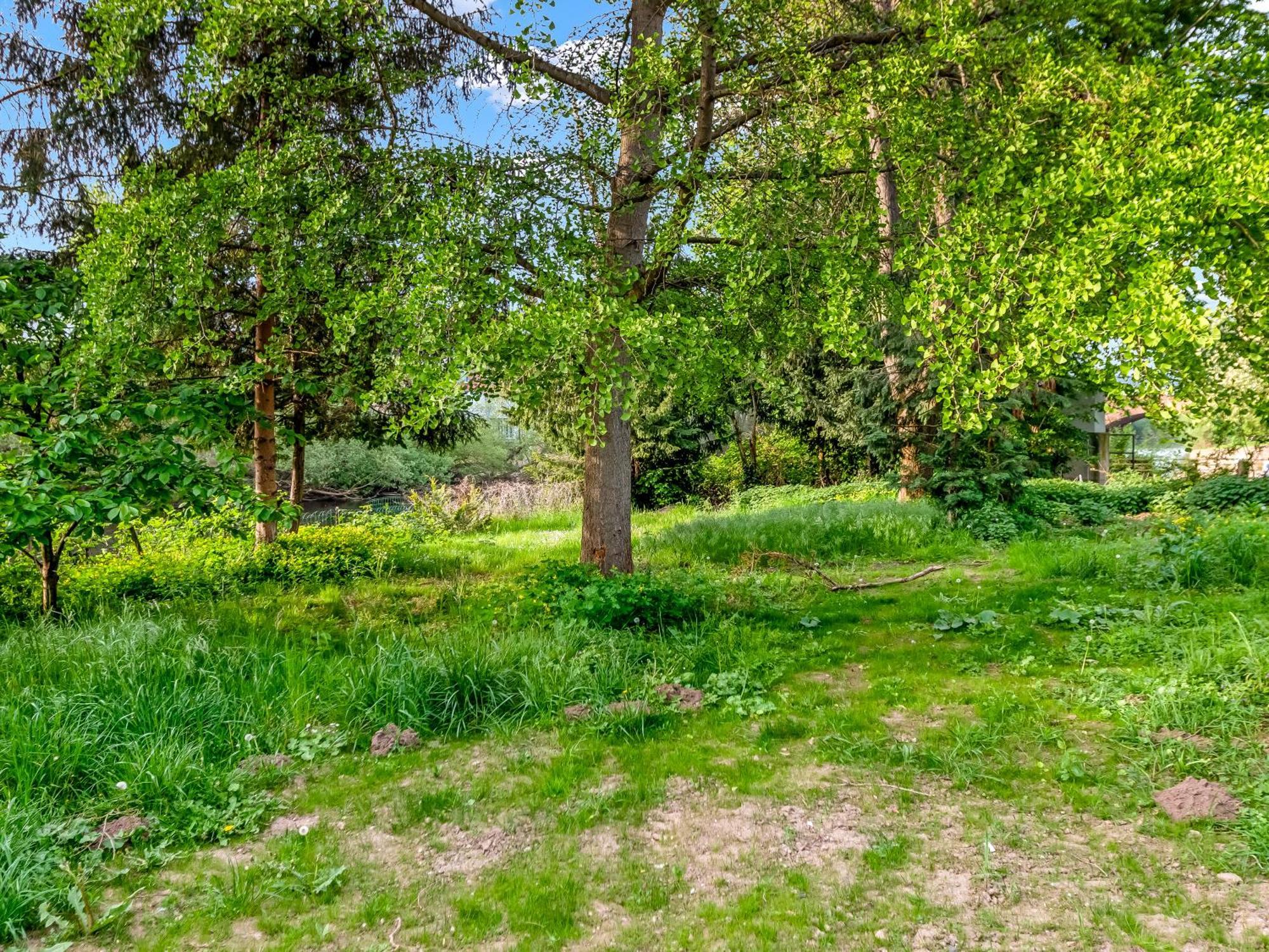 Altstadt Apartment Am Wasser Mit Parkplatz Und Riesigem Garten Bad Kreuznach Eksteriør bilde