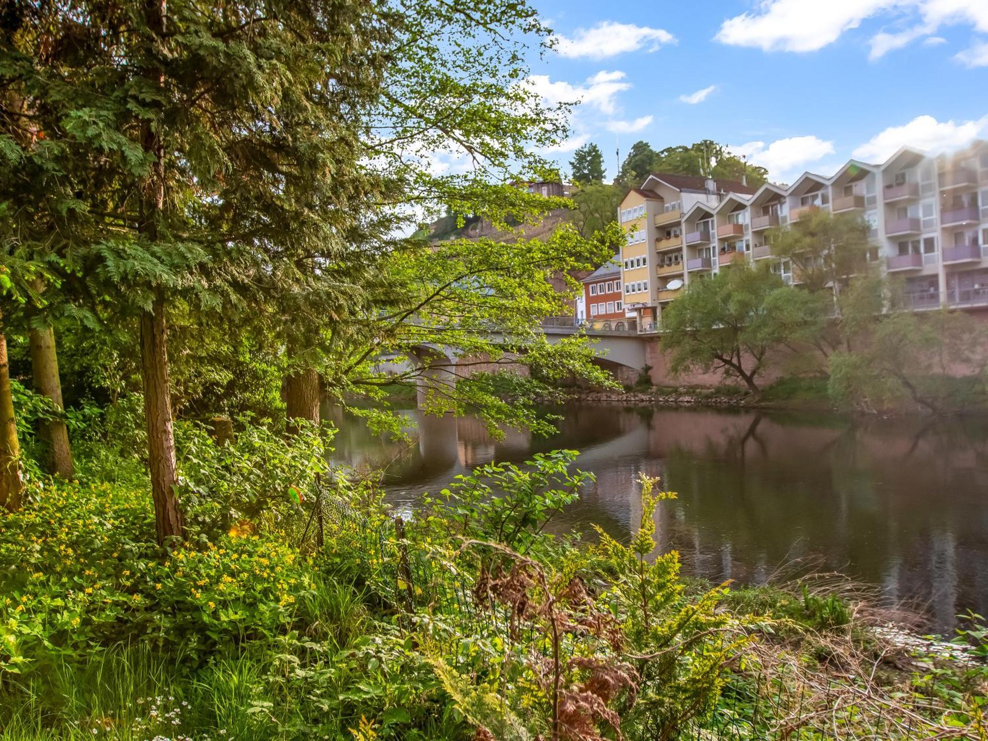 Altstadt Apartment Am Wasser Mit Parkplatz Und Riesigem Garten Bad Kreuznach Eksteriør bilde